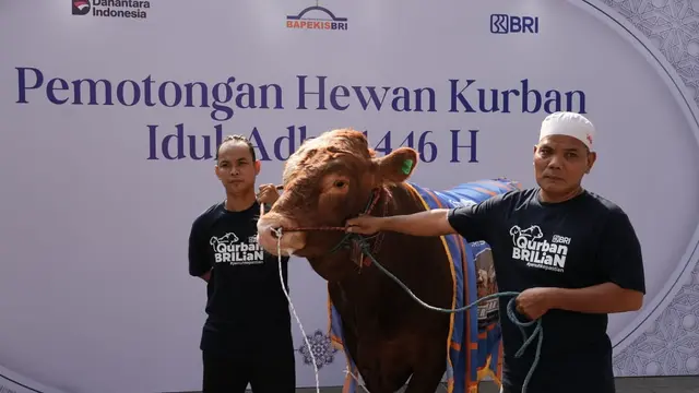 961 Hewan Kurban Disalurkan, Bapekis dan Karyawan BRI Wujudkan Semangat Berbagi di Idul Adha 1446 H