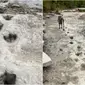 Viral Jejak Dinosaurus Dari 113 Juta Tahun 'Muncul Kembali' di Sungai yang Mengering (Sumber: Siakapkeli)