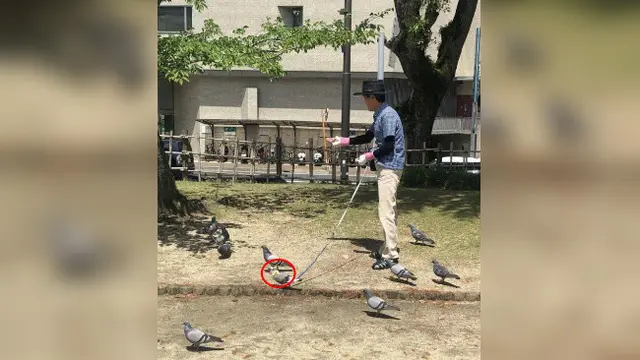 Kejadian absurd bisa datang secara tiba-tiba, terkadang tak dapat diabadikan lewat jepretan kamera.