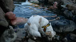Seekor anjing terlihat saat dua pria menikmati pemandian air panas alami Sungai Cidaco dengan suhu 52 Celcius selama pagi musim dingin di desa kecil Arnedillo, Spanyol utara, 29 Desember 2018. (AP Photo/Alvaro Barrientos)