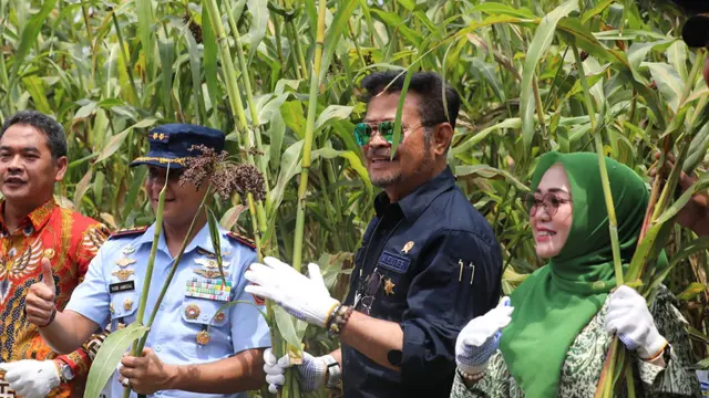 Kementan