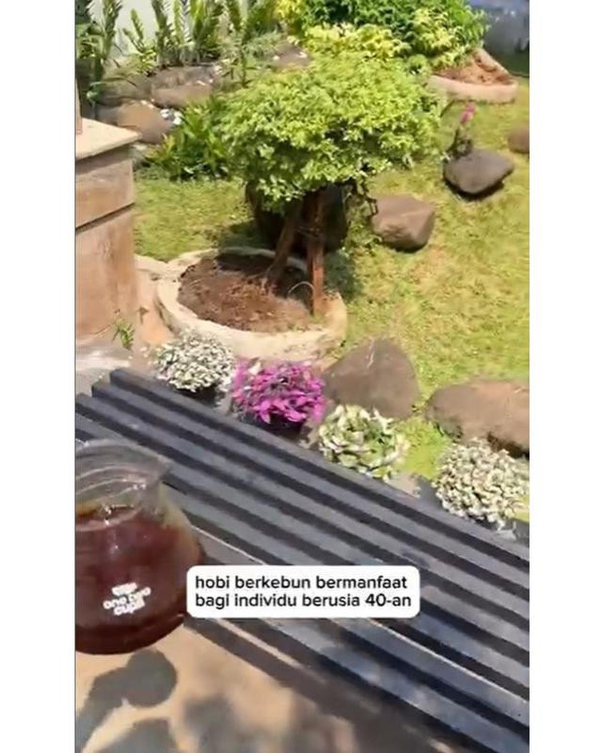 7 Potret Teras Depan Rumah Anji, Halaman Dipakai Berkebun dan Budidaya Sirih China