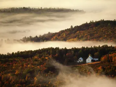 Kabut lembah berembus melalui perbukitan berwarna musim gugur di dekat Picket Hill Farm, Oxford County, Maine, Amerika Serikat, Rabu (13/10/2021). Salah satu yang paling khas dari musim gugur adalah pohon-pohon yang berubah warna sebelum gugur. (AP Photo/Robert F. Bukaty)