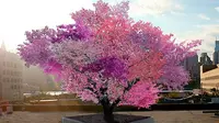 Tree of 40 Fruit/Sumber: www.treeof40fruit.com