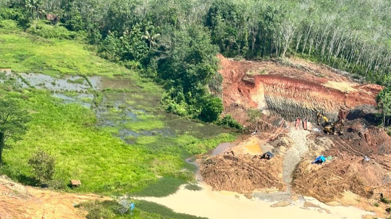 Empat WNA China Jadi Tersangka Kasus Tambang Emas Ilegal di Nabire