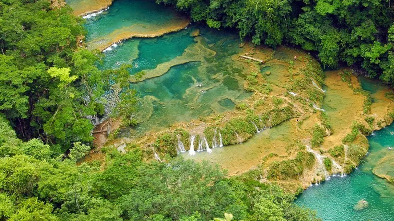 Ingin Coba Berenang di Semuc Champey, Sungai di Tengah Hutan?