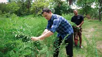 Potret Nicholas Saputra Bareng Kelompok Penenun di Sumba Timur NTT, Tenun Tak Hanya Simbol Budaya