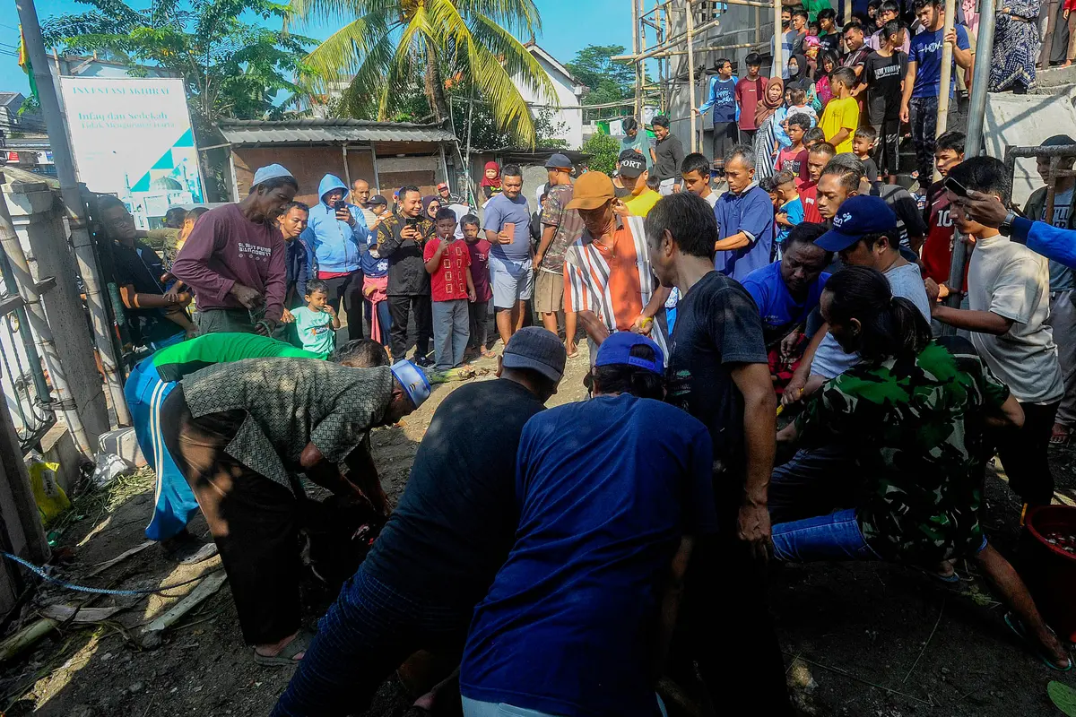 Pemotongan Hewan Kurban Idul Adha 1444 H di Depok