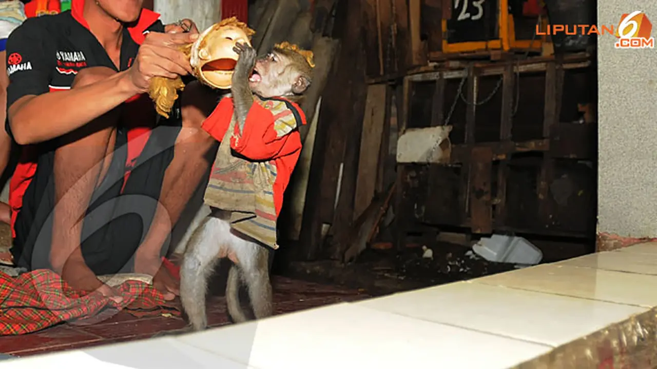 topeng-monyet-7-131023b.jpg