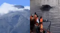 Gunung Gamalama Erupsi Lagi hingga Penampakan Paus 