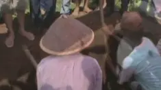 liputan6