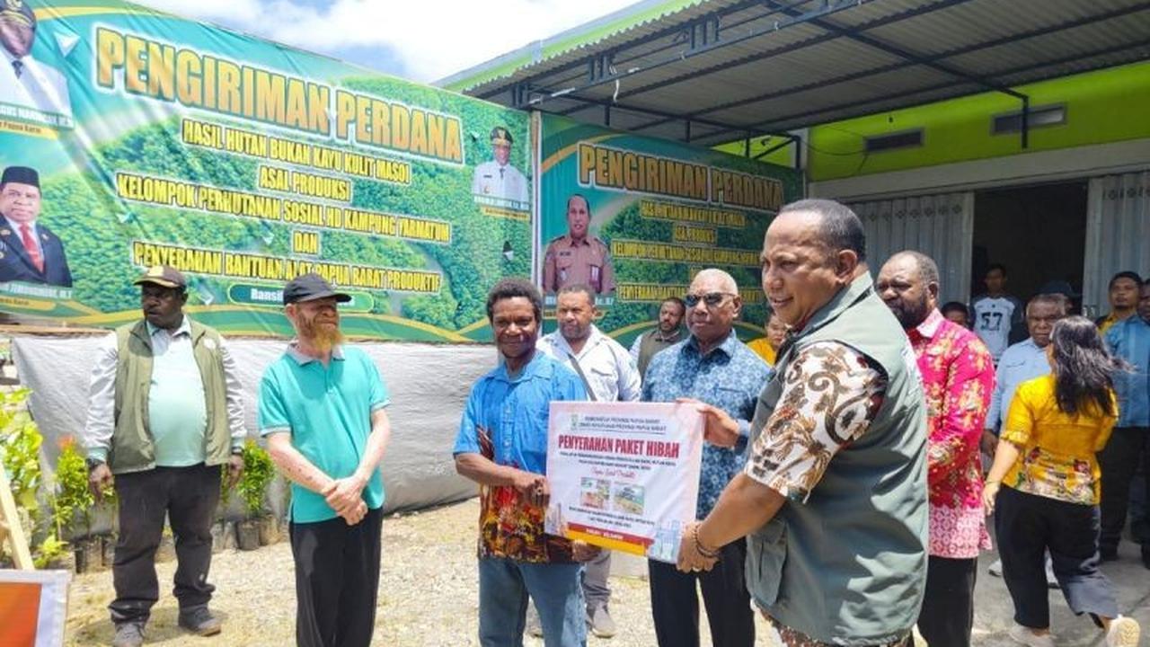Papua Barat Targetkan Perdagangan Kulit Masohi Rp4 Miliar di 2026