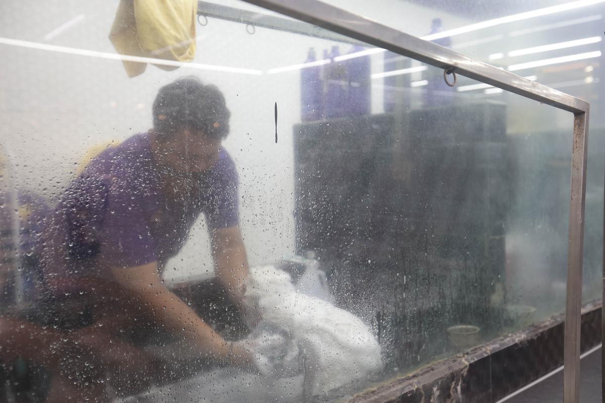 Cukur Bulu hingga Mandi Hewan Jadi Cuan Bisnis Pet Shop