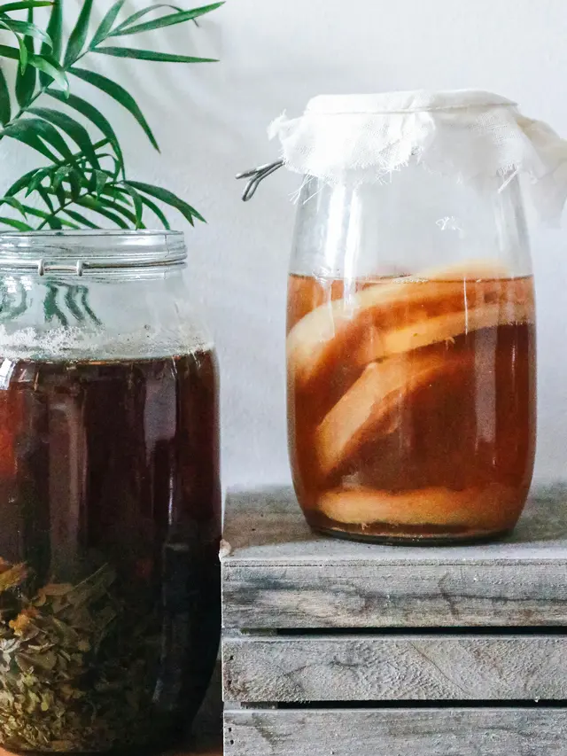 Teh Kombucha