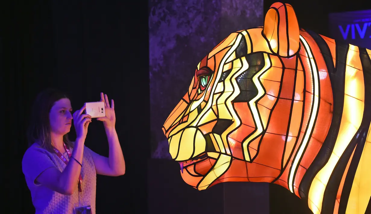 Pengunjung memfoto instalasi harimau Sumatera raksasa saat peluncuran Vivid Sydney, Australia (17/3). Instalasi harimau Sumatera ini merupakan karya seniman Australia Lucy Keeler dan Nicholas Tory. (AFP/William West)