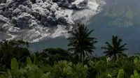 Asap tebal mengepul saat erupsi Gunung Merapi terlihat dari desa Tunggularum di Sleman pada 11 Maret 2023.Selama periode itu, Gunung Merapi juga tercatat mengalami sembilan kali gempa guguran, satu kali gempa fase banyak, dan 19 kali gempa vulkanik dalam, demikian Agus Budi Santoso. (AFP/Devi Rahman)