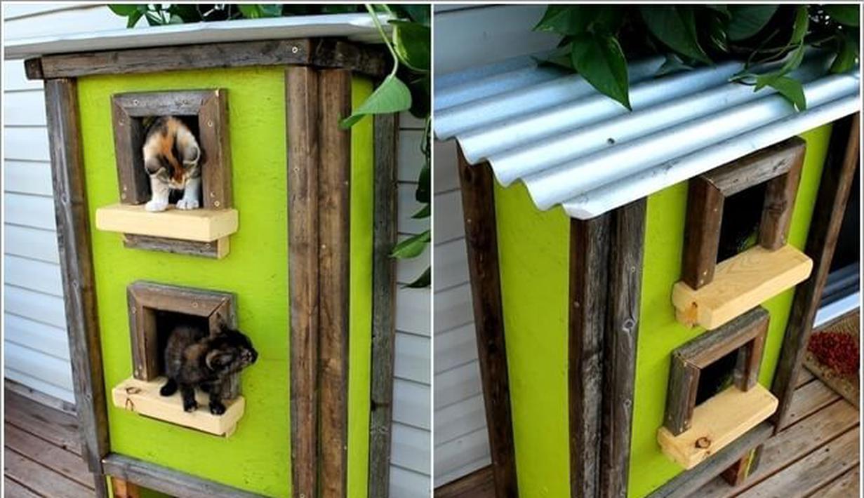 Contoh Rumah Kucing Outdoor - Home Desaign