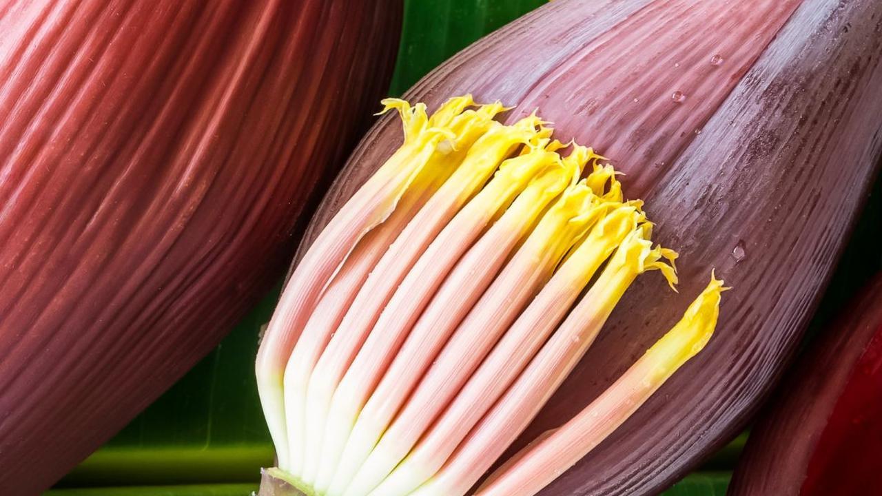 Cara Merebus Jantung Pisang dengan Garam<br>