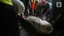 Warga bersiap memotong hewan kurban di kawasan Kramat Pulo Gang 18 RT 1 RW 8, Jakarta, Minggu (10/7/2022). Panitia Majelis Taklim Al Iman memotong tiga sapi untuk kemudian dibagikan kepada fakir miskin sebagai bentuk rasa syukur atas rizki dari Allah pada perayaan Hari Raya Idul Adha 1443 H. (Liputan6.com/Faizal Fanani)