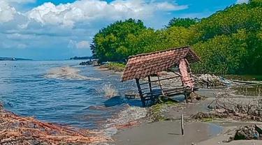 Pesisir Pantai Bengkak Wongsorejo terkena abrasi yang mengakibatkan tanaman mangrove rusak (Istimewa)