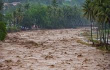 Komisi IV DPR: Menhut Raja Juli Antoni Kebagian Cuci Piring atas Kerusakan Hutan