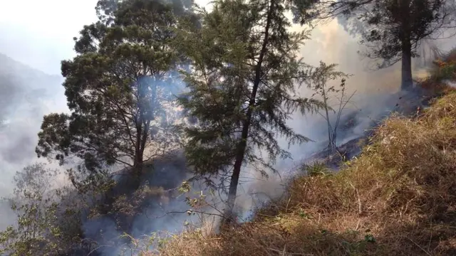 Petugas memadamkan api di Gunung Sindoro-Sumbing dengan cara manual. (Liputan6.com/Sutopo Purwo Nugroho via Twitter/Muhamad Ridlo)