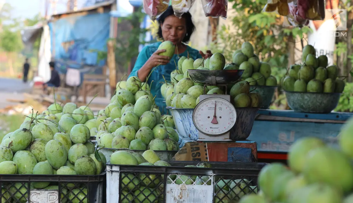 Pedagang menata buah mangga dagangannya yang dijajakan di Jalur Pantura Indramayu, Jawa Barat, Kamis (29/6). Berbagai jenis mangga seperti gedong, arum manis dan golek menjadikan buah ini oleh-oleh khas daerah Indramayu. (Liputan6.com/Helmi Afandi)