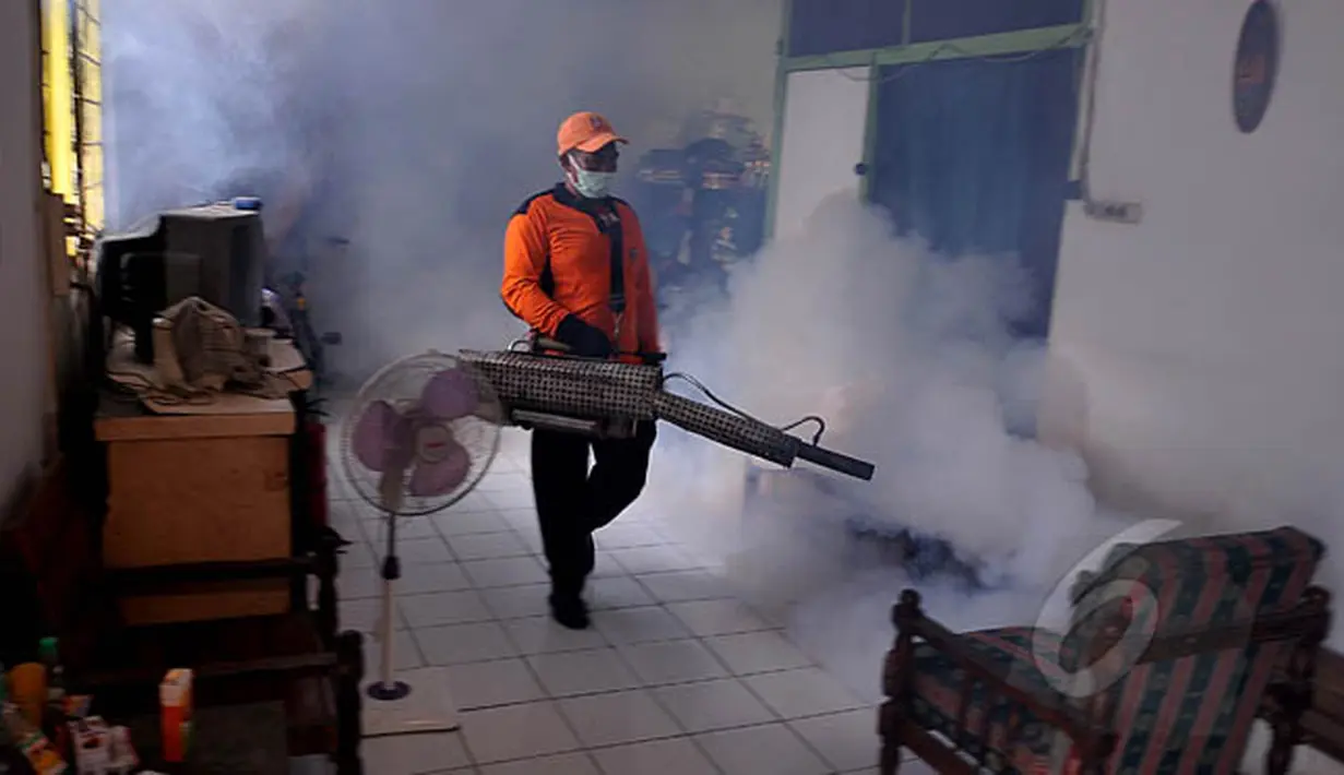 Petugas melakukan pengasapan (fogging) di salah satu rumah di kawasan Kebayoran Lama, Grogol Selatan, Jakata, Kamis (18/2). Pengasapan tersebut untuk mengantisipasi terjadinya wabah penyakit Demam Berdarah (DBD). (Liputan6.com/Johan Tallo)