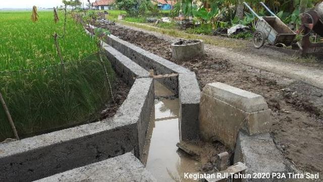 Genjot Produktivitas Pertanian Cilacap, Kementan Salurkan Bantuan RJIT Hingga Embung