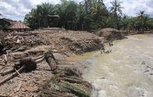Ketika Hutan Tak Lagi Menahan Air: Menilik Jejak Deforestasi di Balik Cuaca Ekstrem Sumatra Utara