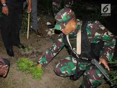 Danyonif Raider 756 Mayor Inf Arif Budi Situmeang menunjukkan pelaku pengedar ganja  Apianus Logo dan barang bukti di jalan lintas Wamena-Karubaga-Puncak Jaya di Kampung Kurulu, Papua, Jumat (3/8). (Liputan6.com/HO/Dispenad)