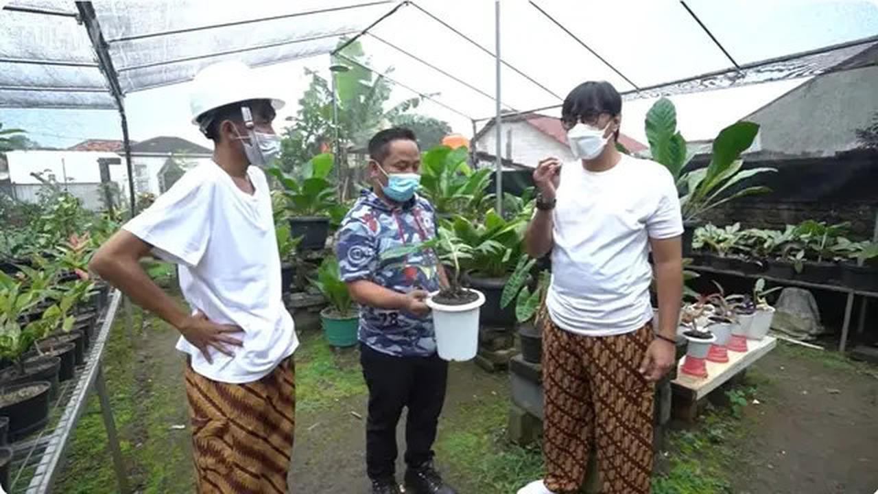 6 Potret Kebun di Rumah Narji, Eks Komedian yang Kini Jadi Juragan Pertanian