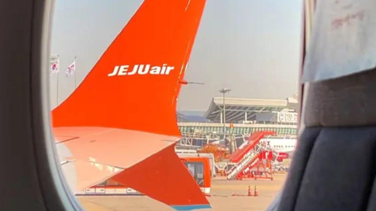 Mengenal Bird Strike yang Diduga Jadi Penyebab Kecelakaan Jeju Air
