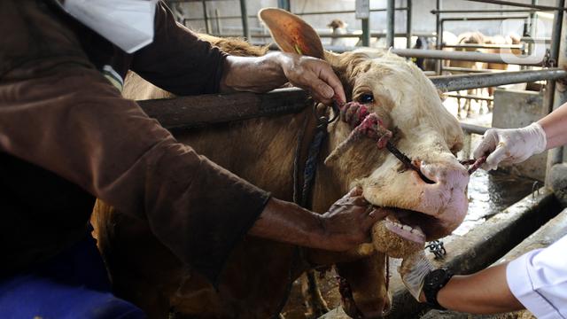 FOTO: Mencegah Penyebaran Penyakit Hewan di Depok