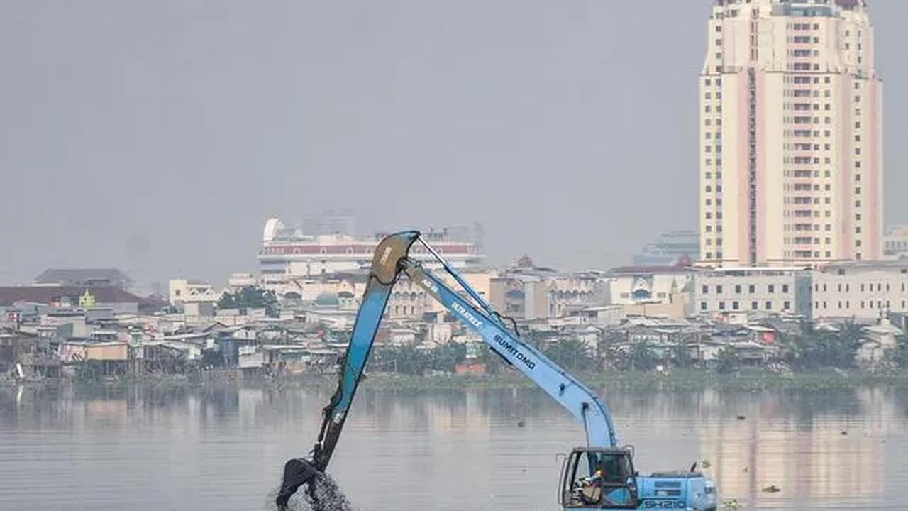Diar menyebut fenomena merebaknya eceng gondok di Waduk Pluit, sudah menjadi hal yang biasa terjadi. Meskipun petugas dinas Lingkungan Hidup sudah sering kali membersihkannya.

"Kadangan bersih, kadangan juga entar banyak banget bisa hampir penuhin wadu