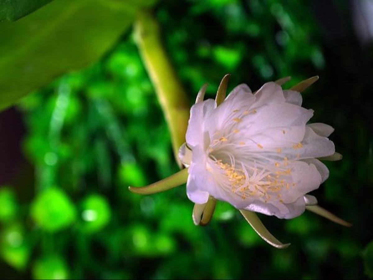 4. Melindungi dari Kesialan<br>
