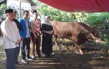 Bupati Garut Serahkan Sapi Kurban Presiden untuk Warga Cigedug