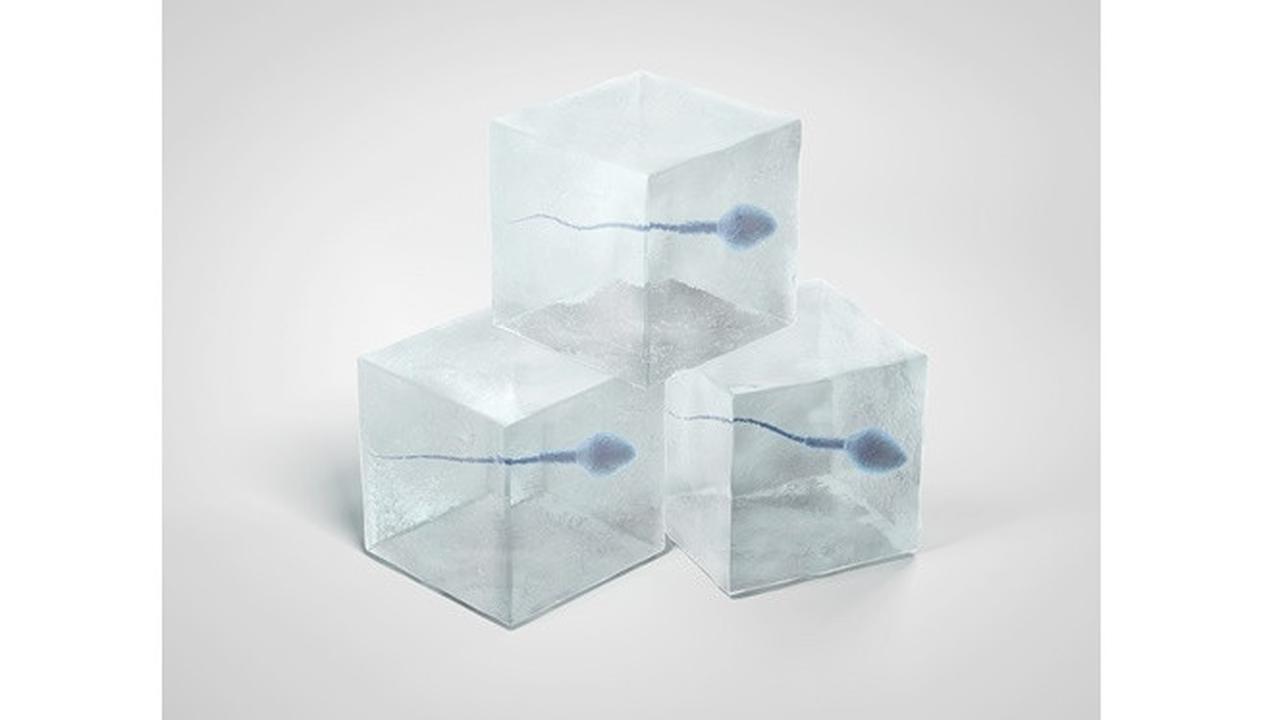 Gunakan Sperma Beku, Kebun Binatang Ini Sukses Hasilkan Hewan Langka