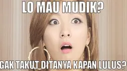 Yakin mau mudik? (Istimewa)