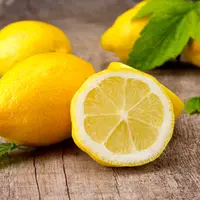 ilustrasi manfaat lemon/Jag_cz/shutterstock