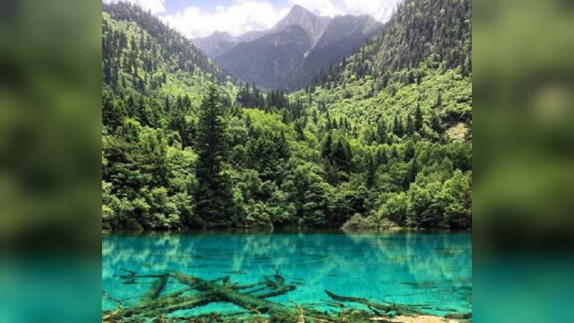 Flower Lake, China (Intagram/@darrrencarlson)