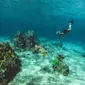 Ilustrasi scuba diving. Photo by Subtle Cinematics on Unsplash