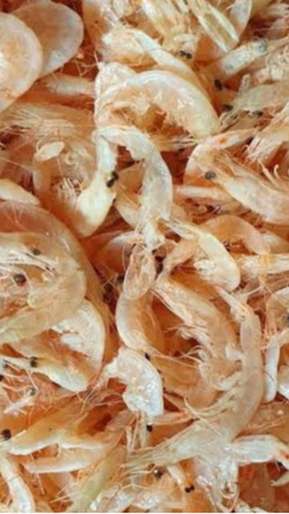3.&nbsp;Udang Rebon: Keajaiban Gurih dalam Kecil