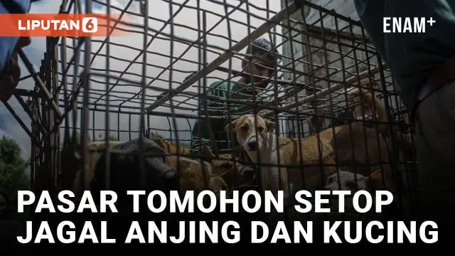 Pemerintah akhirnya mengakhiri penyembelihan daging anjing dan kucing yang "sangat kejam" di pasar hewan terkenal di pulau Sulawesi, Indonesia.