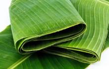 Cara Mudah Membuat Daun Pisang Lentur dan Tetap Hijau untuk Membungkus Makanan