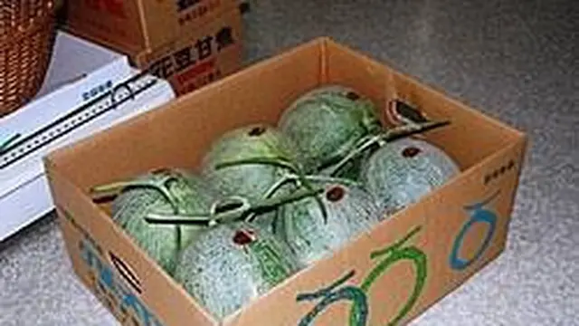 buah melon termahal di dunia