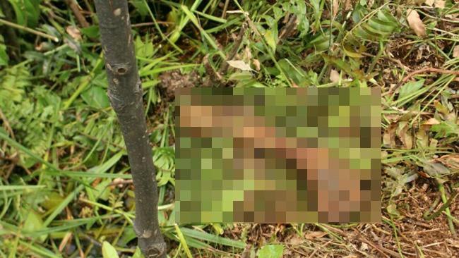 Potongan tubuh korban diamankan warga. Foto: (M Syukur/Liputan6.com)