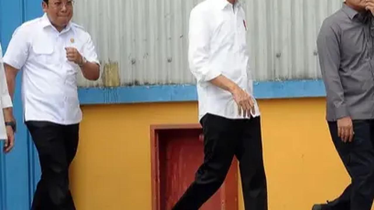Saat ini, rata-rata produktivitas padi nasional mencapai 5,9 ton per hektare. Presiden Jokowi mengharapkan inovasi yang dikembangkan IPB dapat meningkatkan produktivitas padi menjadi 10-12 ton per hektare.<br>