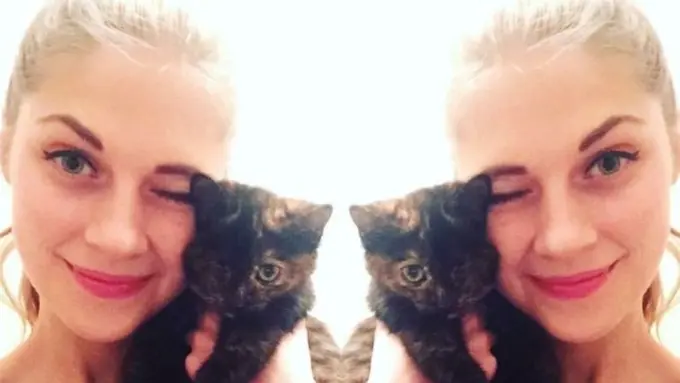 [Bintang] Dalam 2 Tahun, Cewek Ini Selamatkan 350 Kucing Malang di Jalan