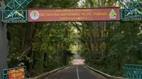 Kisah Mistis Alas Purwo Hutan Tertua Pulau Jawa (Dewi Divianta/Liputan6.com)